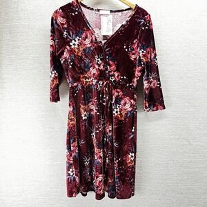 Pink Lily Crimson Y2K Velvet Midi Dress Size M Floral Romantic Soft Victorian